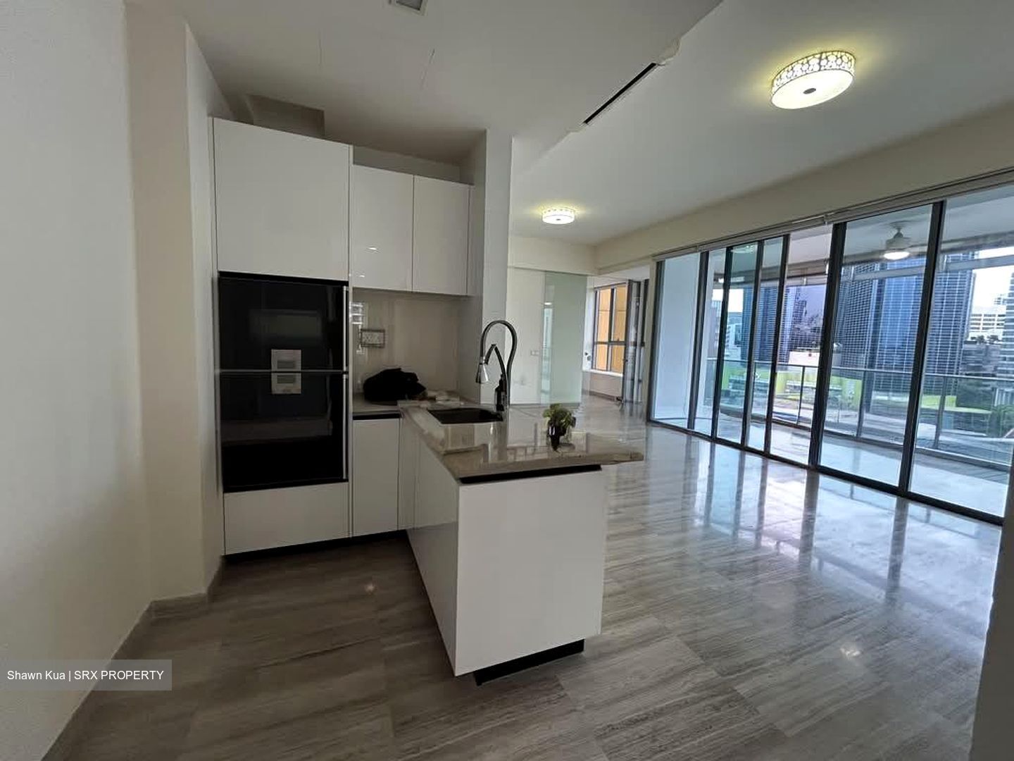 Lincoln Suites (D11), Condominium #576820911